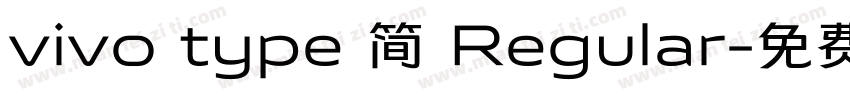 vivo type 简 Regular字体转换